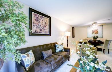 nimbus photo seattle commercial photoghraphy